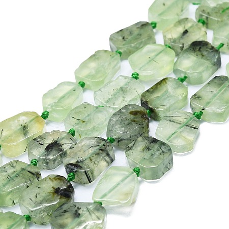 Natural Prehnite Beads Strands G-K245-J13-01-1