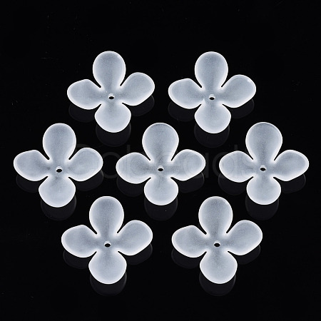 Transparent Acrylic Beads FACR-N005-003-1
