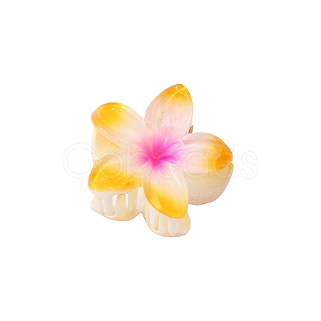 Plastic Claw Hair Clips LS-PW-WG07B2B-10-1
