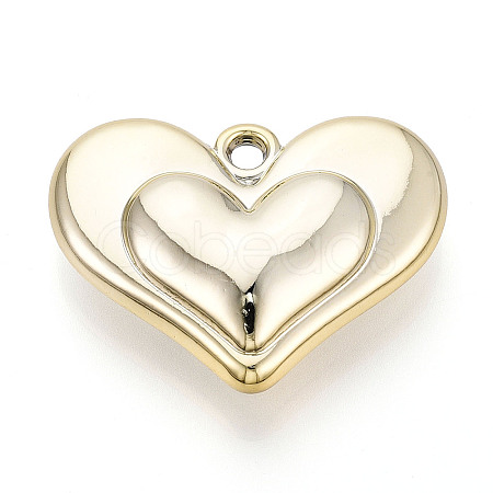 Acrylic Pendants OACR-T030-28A-1