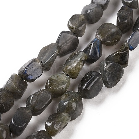 Natural Larvikite Beads Strands G-A208-08-1