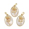 Rack Plating Brass Pave Shell Oval Pendants, Birth Flower Charms, Real 18K Gold Plated, Long-Lasting Plated, Lead Free & Cadmium Free, Seashell Color, 25.5x16x4.5~5.5mm, Hole: 5.5x3mm