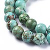 Natural Howlite Beads Strands X-TURQ-F017-02-10mm-3
