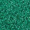 MIYUKI Round Rocailles Beads X-SEED-G009-RR0572-3