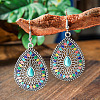Bohemian Style Alloy Acrylic Dangle Earrings WGAEF55-06-1