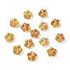 Transparent Glass Beads X-GLAA-F116-02D-1