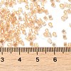 Transparent Colours AB Glass Seed Beads SEED-S042-19B-05-4