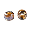 TOHO Round Seed Beads SEED-JPTR08-0454-3