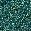 MIYUKI Round Rocailles Beads X-SEED-G007-RR0146FR-3