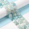 Natural Amazonite Beads Strands G-C238-09-3