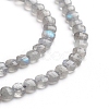Natural Labradorite Beads Strands G-E560-C08-4mm-3