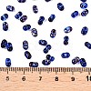 Picasso Spray Painted Glass Seed Beads SEED-T006-04-8-4