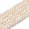 Natural Cultured Freshwater Pearl Beads Strands PEAR-E018-52-1