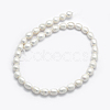 Natural Cultured Freshwater Pearl Beads Strands PEAR-K003-26B-2