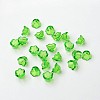 Transparent Acrylic Beads X-PL548-3-2