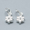 925 Sterling Silver Charms STER-T002-104S-2