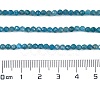 Natural Apatite Beads Strands X-G-Z057-B02-02-4