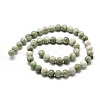 Natural Peace Jade Beads Strands G-Q462-50-8mm-3