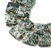 Natural Green Spot Jasper Beads Strands G-F839-A23-01-4