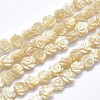 Shell Bead Strands SSHEL-P015-01B-6mm-1