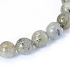 Natural Labradorite Round Bead Strands G-E334-6mm-19-2