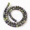 Natural Serpentine Beads Strands G-G767-05-6mm-2