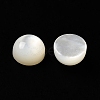 Natural White Shell Cabochons SSHEL-M022-01A-2