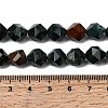 Natural Bloodstone/Heliotrope Beads Strands G-Z119-A16-03-6