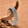 Spring Bracelets TWIR-T001-02P-1