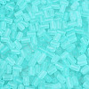 FGB Frosted Transparent Glass Seed Beads SEED-N013-05A-10-3