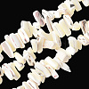 1 Strand Dyed Natural Trochus Shell Beads Strands SSHEL-PA0001-01B-8
