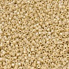 MIYUKI Delica Beads SEED-MY11-DB1571-3