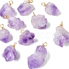 10Pcs Natural Amethyst Pendants PALLOY-CJ00158-8