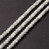 Natural Trochid Shell/Trochus Shell Beads Strands SSHEL-O001-24A-02-4