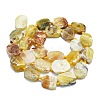 Natural Yellow Opal Beads Strands G-K245-L01-01-2