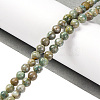 Natural Maifanite/Maifan Stone Beads Strands G-P451-01C-E-2