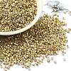 Electroplate Glass Seed Beads SEED-S042-01B-11-1