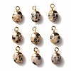 Electroplate Natural Dalmatian Jasper Charms G-S344-09C-2