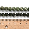 Natural Diopside Beads Strands G-R006-A01-03-5