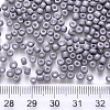 12/0 Baking Paint Glass Round Seed Beads SEED-S036-01A-09-3