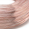 Round Anodized Aluminum Wire AW-S001-3.0mm-04-2