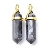 Natural Larvikite Pointed Pendants G-G025-01G-21-2