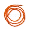 Transparent Glass Beads Strands GLAA-C019-01A-14-2