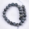 Natural Hawk's Eye Beads Strands G-S333-8mm-027-2