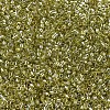 MIYUKI Delica Beads SEED-MY11-DB0124-3