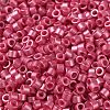 Baking Paint Glass Seed Beads X-SEED-S042-15A-05-3