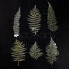 6Pcs Plant PET Adhesive Waterproof Stickers DIY-K074-01E-3