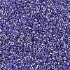 MIYUKI Delica Beads SEED-MY11-DB0250-3