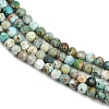 Natural HuBei Turquoise Beads Strands G-L628-B02-3mm-01-4