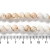Dyed Natural Regalite/Imperial Jasper/Sea Sediment Jasper Beads Strands X-G-B124-C01-17-5
